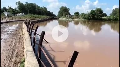 थानेसर: राजस्व विभाग की रिपोर्ट: जलभराव से कुरुक्षेत्र के 70 गांवों में लगभग 13240 एकड़ फसल प्रभावित