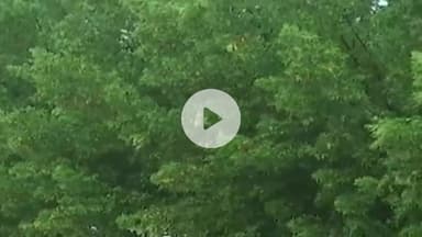 कोटा: जिले में अगले 3 दिन तक झमाझम बारिश के आसार, कई जिलों में ऑरेंज और येलो अलर्ट जारी