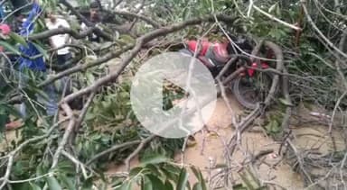 जयसिंहपुर: लखनऊ-बलिया हाइवे पर उघड़पुर के पास गिरी पेड़ की डाल, युवक घायल व 4 बाइकों को पहुंचा नुकसान