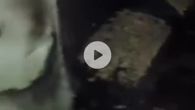 सिंगरौली: सुलियरी गांव के एक मकान में गैस रिसाव से लगी आग, घर का सारा सामान जलकर हुआ राख