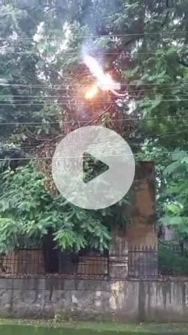 भीलवाड़ा: शास्त्रीनगर में सरकारी डिस्पेंसरी में पेड़ों की छंटाई न होने से विद्युत तारों में लगी आग