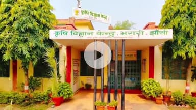 झांसी: मौसम विभाग ने शनिवार को भारी बारिश की जारी की चेतावनी, रविवार से मानसून दक्षिण की तरफ होगा शिफ्ट