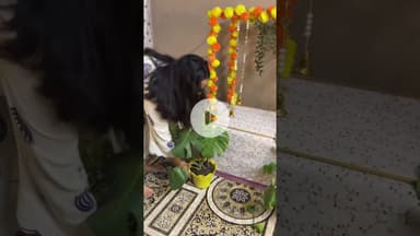 #shortvideo Ganpati Bappa Morya #viral #trending #ganpatibappamorya #decor #ganpati