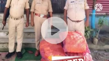 नरपतगंज: फुलकाहा पुलिस ने बॉर्डर के समीप 189 लीटर नेपाली शराब किया ज़ब्त, तस्कर फरार