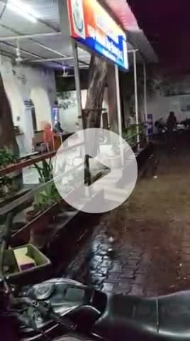 टीकमगढ़: मोटे के मोहल्ला में युवक पर चाकू से हमला, घायल पहुंचा कोतवाली