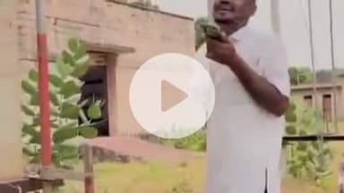 बाड़मेर: बाड़मेर में फेम के नशे के लिए युवाओं ने हाईवोल्टेज ट्रांसफॉर्मर पर बनाई रील, हद पार की