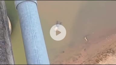 अजयगढ़: एमपी-यूपी सीमा पर बाघिन नदी में मिला युवक का शव, पुलिस जांच में जुटी, हत्या या आत्महत्या?