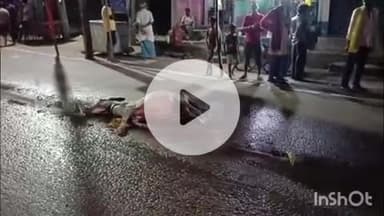 अरवल: अरवल बाजार में ट्रक की टक्कर से गधे की मौत