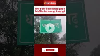 Raigarh के जंगल में नन्हा हाथी आया दुनिया में, मां के साथ झुंड में मचाई खुशी, ड्रोन से निगरानी जारी