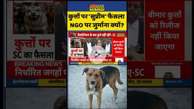कुत्तों पर 'सुप्रीम' फैसला, लेकिन NGO पर जुर्माना क्यों? #straydogs #supremecourtofindia #shorts