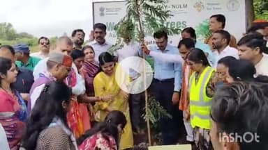 जगदलपुर: वन मंत्री केदार कश्यप ने लोकमान्य तिलक वार्ड में पौधा रोपकर 'वूमन फॉर ट्री' अभियान का किया शुभारंभ