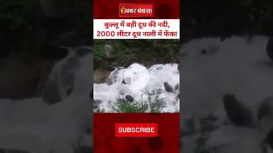 कुल्लू में बही दूध की नदी, 2000 लीटर दूध नाली में फेंका | Himachal Viral Video
