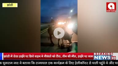 झांसी में सेसा हाईवे पर डिपो वाहन ने गौवंशों को रौंदा, तीन की मौत, हाईवे पर जाम