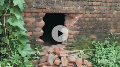 मालथोन: कस्बे के वार्ड नंबर-2 से 60 बकरे-बकरियां चुरा ले गए चोर, टूटी मिली मकान के पीछे की दीवार