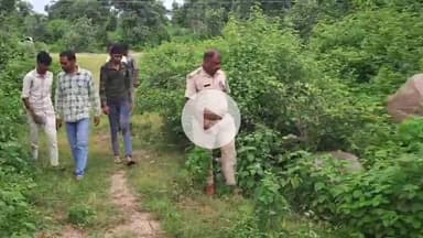 झांसी: नयागांव में तेंदुआ दिखने से मचा हड़कंप, वन विभाग की टीम मौके पर पहुंची जांच करने