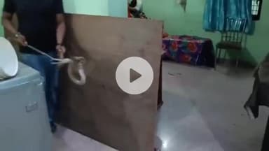 कांके: होटवासी में एक घर में निकला सांप, घरवालों में दहशत