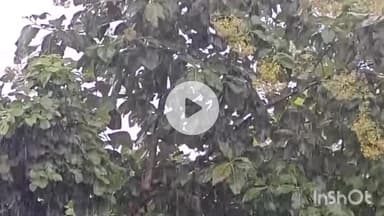 गढ़वा: गढ़वा में भारी वर्षा का रेड अलर्ट, नदी के किनारे रहने वालों से सतर्क रहने की अपील