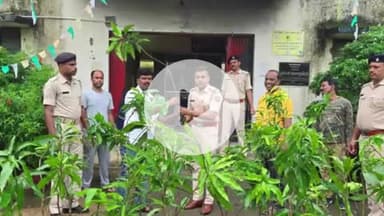 डोमचांच: डोमचांच और नवलशाही थाना में थाना प्रभारी ने किया पौधारोपण