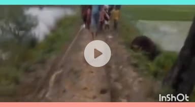 नबीनगर: पहाड़ बिगहा गांव में मरीज को खाट पर अस्पताल ले जाने का वीडियो वायरल, ग्रामीण बोले- आजादी के बाद नहीं बनीं सड़क।#viral