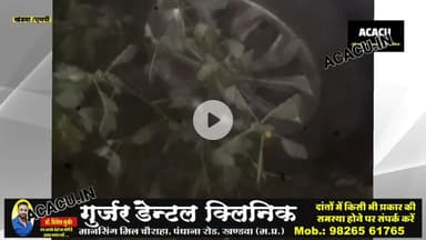 जसवाड़ी टोल के पास आईसर से बचने रोड के नीचे उतरी कार. बाल -बाल बचे लोग