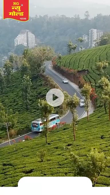 #newgoldchai #tea #churu #rajasthan #latest #viral #shorts #trending #best #new #tealovers