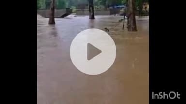 କିସିଣ୍ଡା: ପ୍ରବଳ ବର୍ଷା କାରଣରୁ ପୁଟୁକି ଆମ ଠାରେ କିସିଣ୍ଡା ସମ୍ବଲପୁର ରାସ୍ତା ଯୋଗାଯୋଗ ବିଚ୍ଛିନ୍ନ