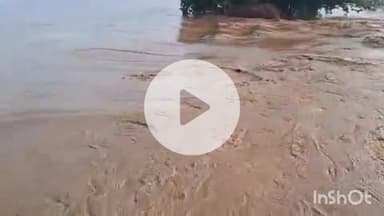 घोसी: घोसी से गुजरने वाली फल्गु नदी में अचानक बढ़ा जलस्तर