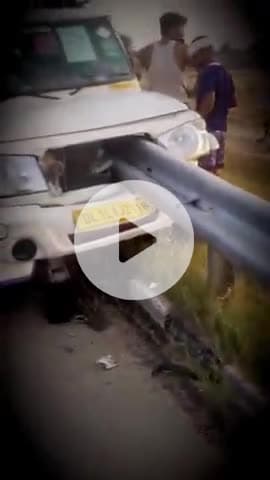 lionking #lion #disney #lions #simba #thelionking #lioness #king #wildlife #lionsofinstagram #animal #love #nature #MP