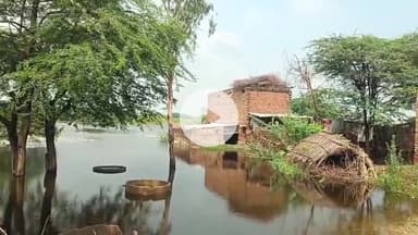 नूह: प्रशासन की अनदेखी के कारण जैवंत गांव फिर बना टापू ग्रामीण परेशान#janasamsaya