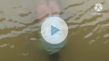 हिंगणघाट: धांबा गावाजवळील पुलाखाली पाण्यावर तरंगताना आढळला अनोळखी इसमाचा मृतदेह