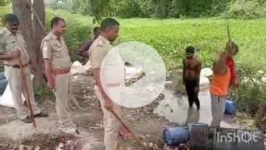 बहराइच: बघौली के जंगल में आबकारी विभाग ने अवैध शराब बनाने के अड्डे पर मारा छापा, 800 किलो लहन हुई बरामद