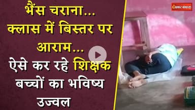 भैंस चराना..क्लास में बिस्तर पर आराम..ऐसे कर रहे शिक्षक बच्चों का भविष्य उज्वल | Teacher Viral Video