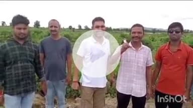 गढ़वा: गढ़वा प्रखण्ड के कल्याणपुर गांव में पर्यावरण परिवार ने दंडटूटी जंगल में वृक्षारोपण किया