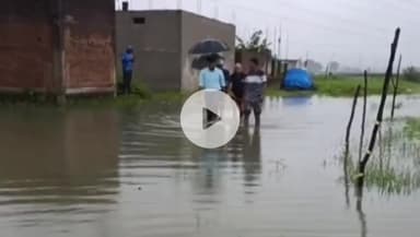 सिंगरौली: जिले में बारिश से निगम क्षेत्र में जलभराव, 1 परिवार PM आवास में शिफ्ट, डिप्टी कमिश्नर बोले- नाली की कमी से परेशानी