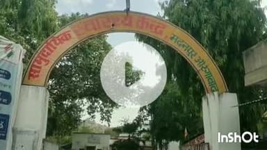 मदनपुर: मैन बीघा गांव में धान के खेत में सोहनी करते समय एक महिला को सांप ने डंसा