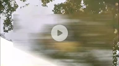 पीरटांड: पीरटांड़ बाजार के नाले में मिला मानव भ्रूण, घटना से क्षेत्र में फैली सनसनी