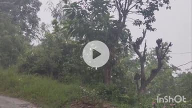 कंडाघाट: उपमंडल कंडाघाट में मूसलाधार बारिश का दौर शुरू, प्रशासन ने लोगों से नदी-नालों से दूर रहने का किया आग्रह