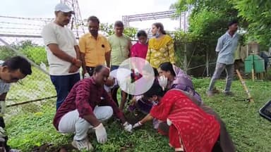 बीना: गांधी वार्ड स्थित पार्क में पौधारोपण कार्यक्रम, भाजपा नेता व कार्यकर्ता बड़ी संख्या में शामिल