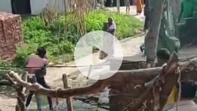 फतेहाबाद: ग्राम बरना में पेमाइश के दौरान राजस्व विभाग और पुलिस टीम के सामने मारपीट के मामले में दो के खिलाफ कार्रवाई, वीडियो वायरल