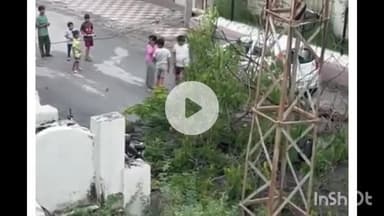 राजसमंद: इंद्रा कॉलोनी में पेड़ गिरा, बड़ा हादसा होते-होते बचा