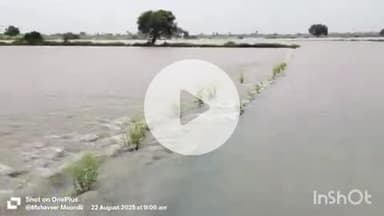 बारां: लगातार बारिश से मांगरोल में 32 मकान गिरे, मकान गिरने से 2 लोग हुए घायल, पार्वती नदी में बहे बालक की तलाश जारी