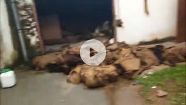 सतना: ट्रांसपोर्ट नगर के बोरा गोदाम में आग, ₹22 लाख का माल खाक