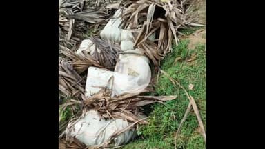 गया टाउन सीडी ब्लॉक: परसावां गांव के पास शेरूआ बांध से भारी मात्रा में 1950 लीटर महुआ शराब बरामद