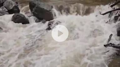 अक्कलकुवा: अखेर केलाखाडी नदीवर जिल्हा प्रशासनाच्या वतीने उभारण्यात आला साकव पुल, ग्रामस्थांनी मानले आभार #Jansamasya