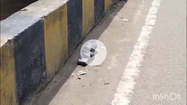 सासाराम: वेदा नहर में एक युवक ने चप्पल खोलकर लगाई छलांग, शव की खोजबीन में जुटी पुलिस