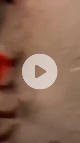 #Deoghar #BabaDham #ManojTiwari #NishiKantDube 2025