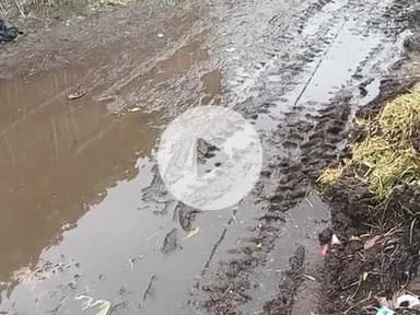 Bhelahi ward no 21 Supaul