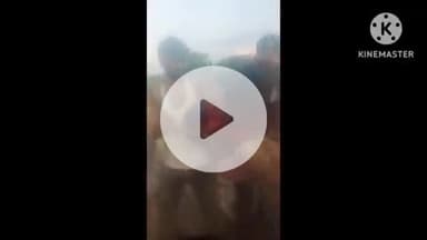 संभल: मखदुमपुर गांव में रास्ते को लेकर हुई मारपीट का वीडियो सोशल मीडिया पर वायरल, एक महिला घायल बताई जा रही है