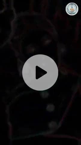 युवा साथियों, सस्ती शोहरत के लिए अपनी भाषा मत बेचो। संस्कृति ही झारखंड की असली ताक़त है। इसे बचाओ..
#jharkhand #nagpuri