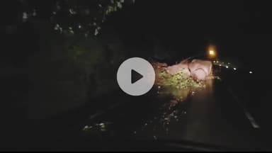 अक्कलकुवा: देवगोई घाटात पहाटे दरड कोसळल्याची घटना, वाहतुकीस अडथळा